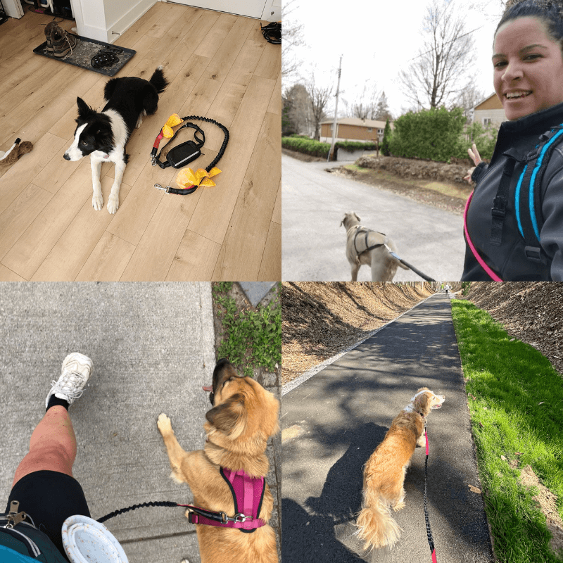 StrutMate™ Premium Hands-Free Leash