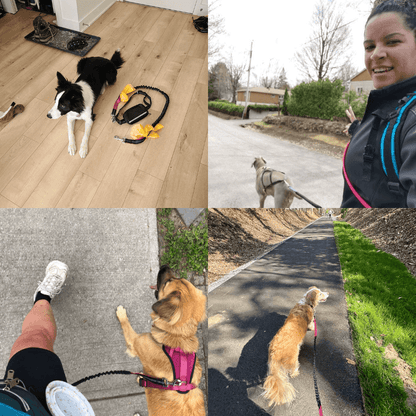 StrutMate™ Premium Hands-Free Leash
