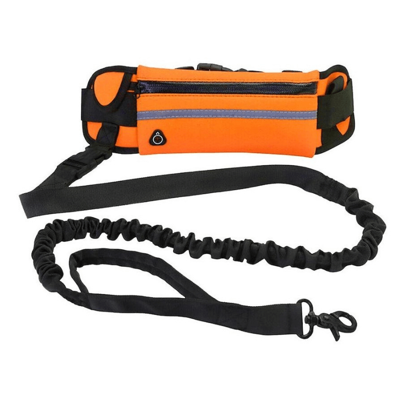 StrutMate™ Premium Hands-Free Leash